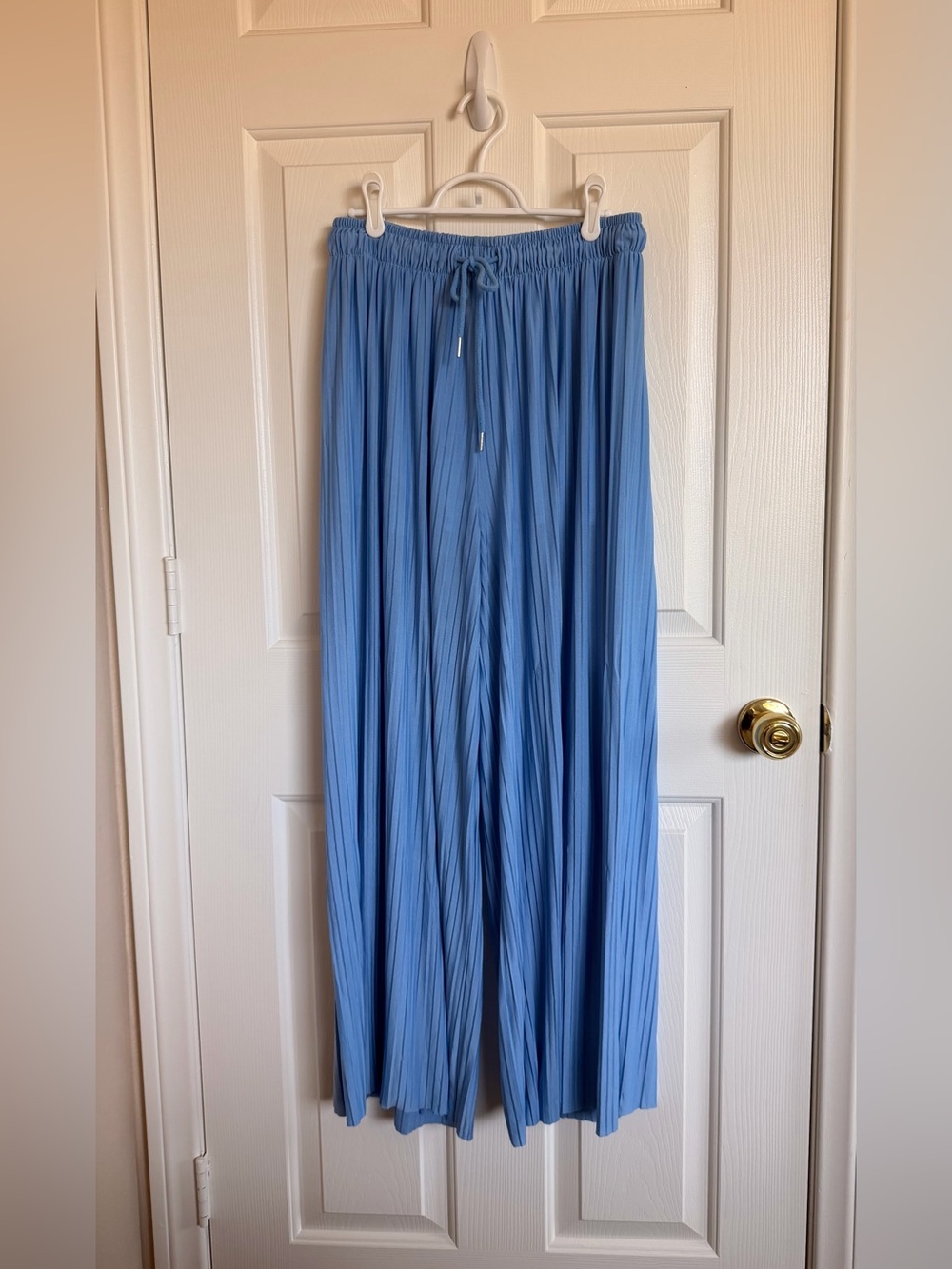 Light Blue Pleated Wide-Leg Pants
